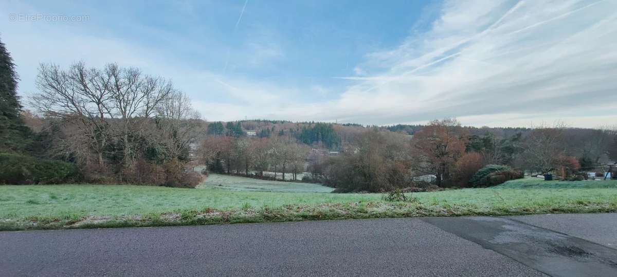 Terrain à SAINT-JUNIEN