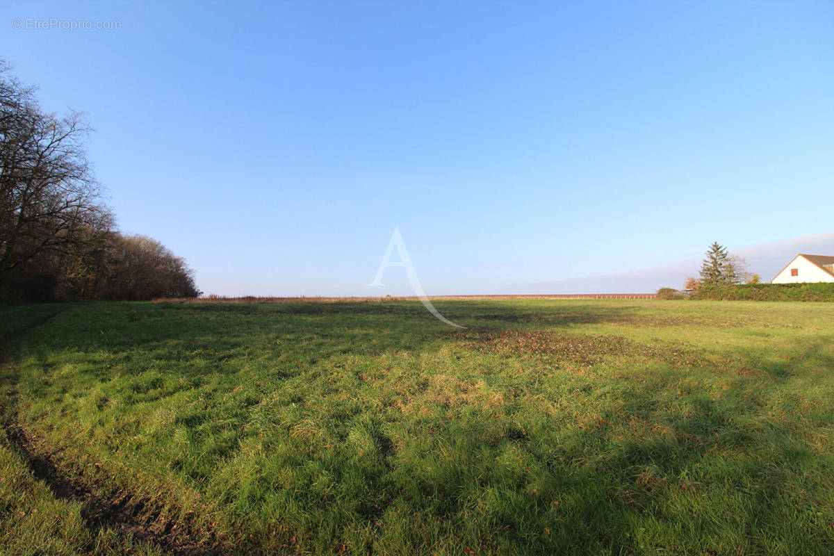 Terrain à MESLAND