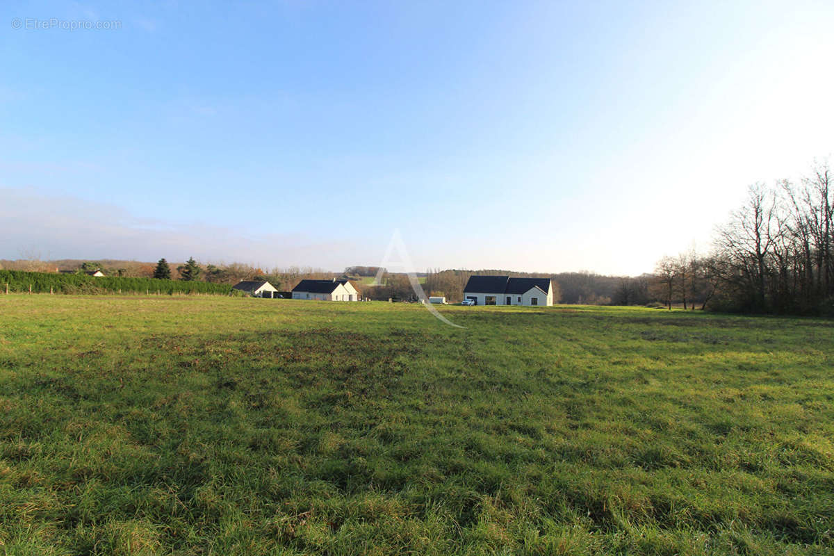 Terrain à MESLAND