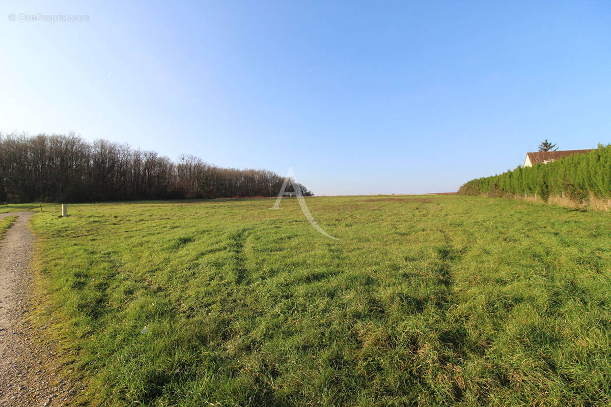 Terrain à MESLAND