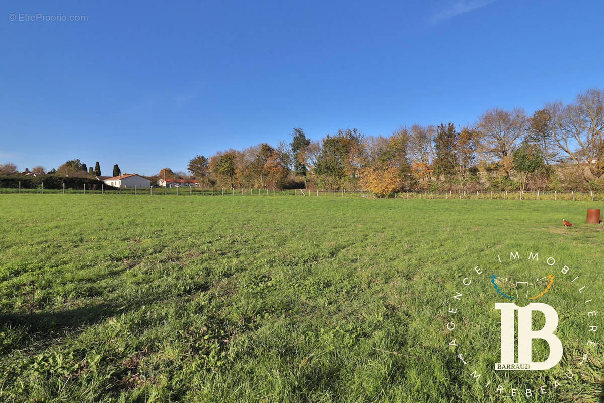 Terrain à MIREBEAU