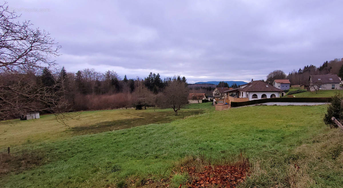 Terrain à MOYENMOUTIER