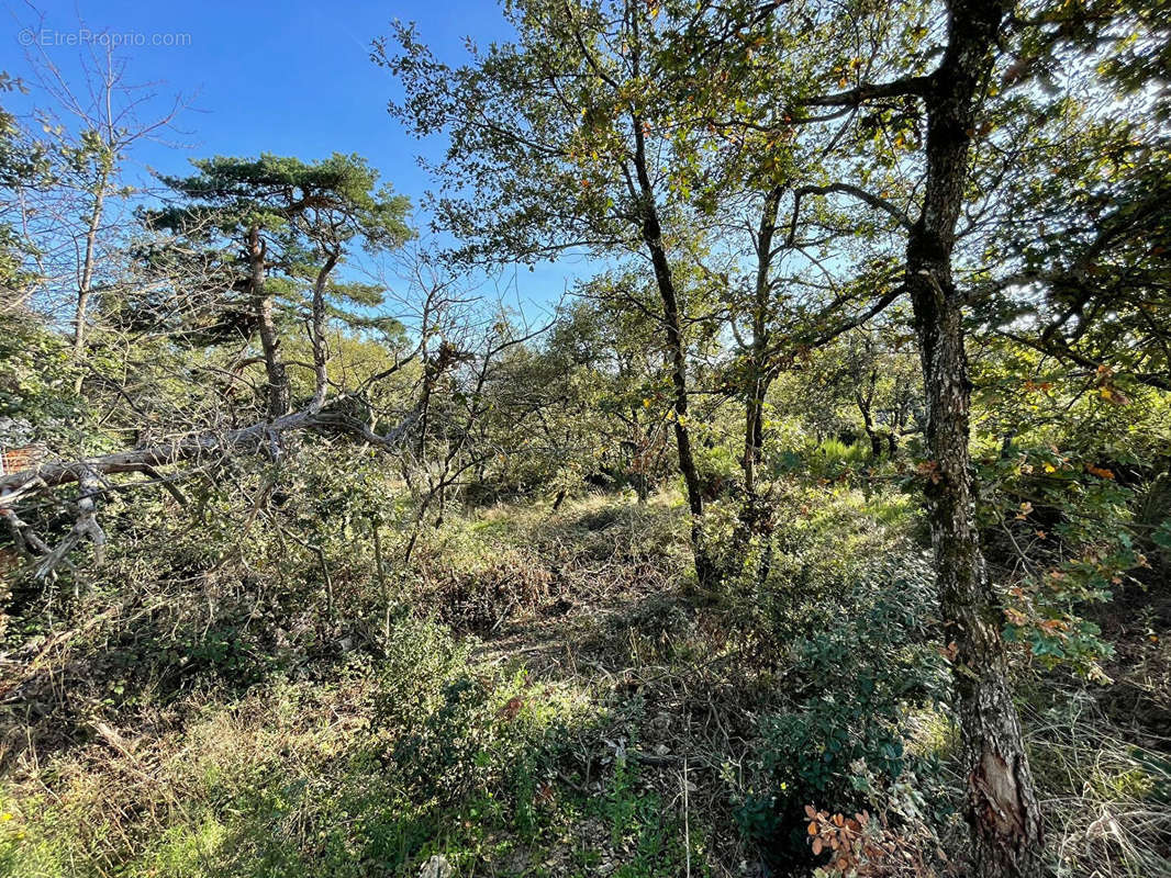 Terrain à SAINT-ROMAIN-DE-LERPS