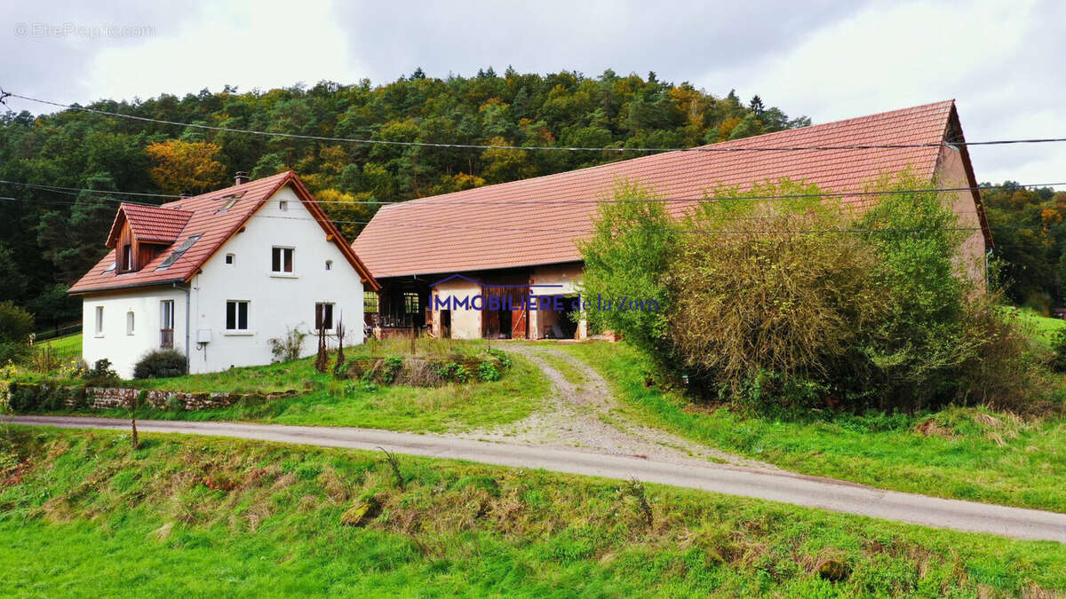 Maison à BAERENTHAL