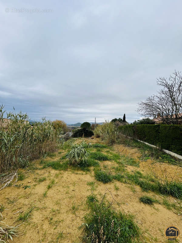 Terrain à SAINT-ANDRE-DE-ROQUELONGUE