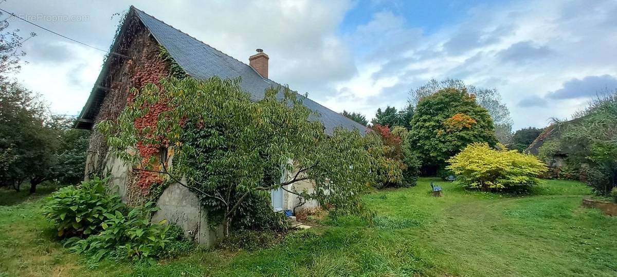 Maison à CHATEAUNEUF-SUR-SARTHE