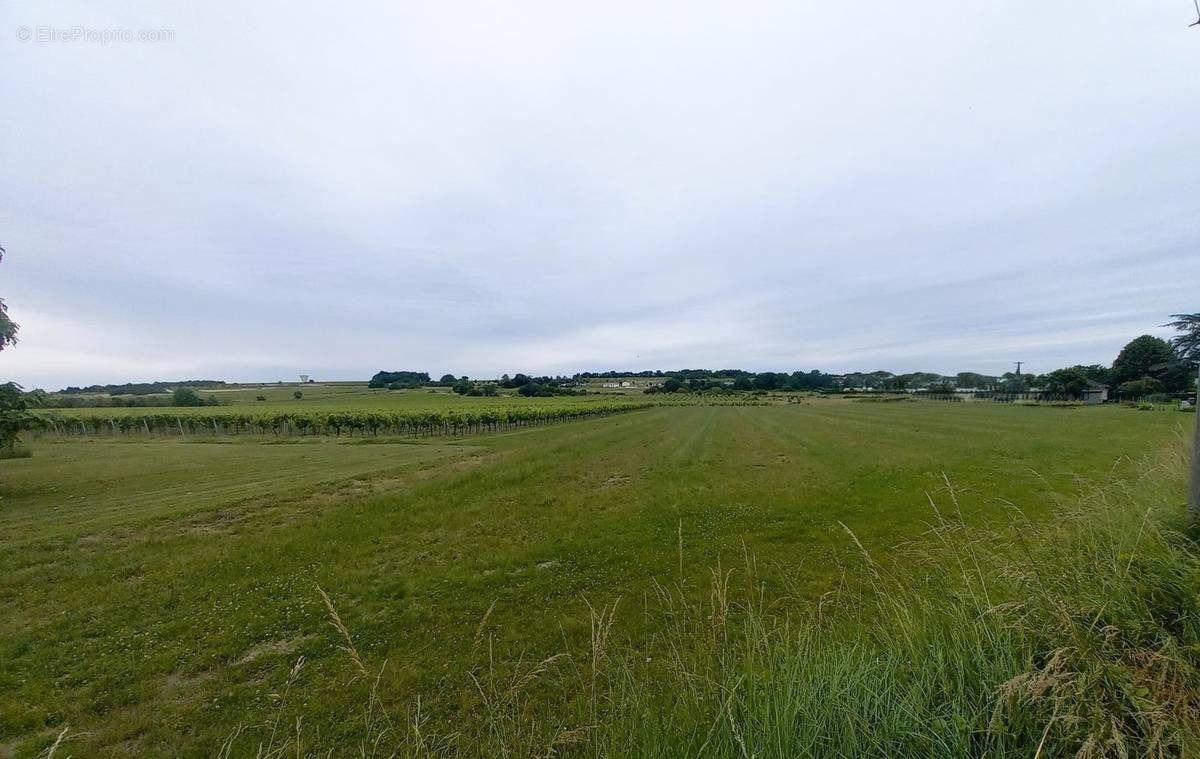 Terrain à BOURG-CHARENTE