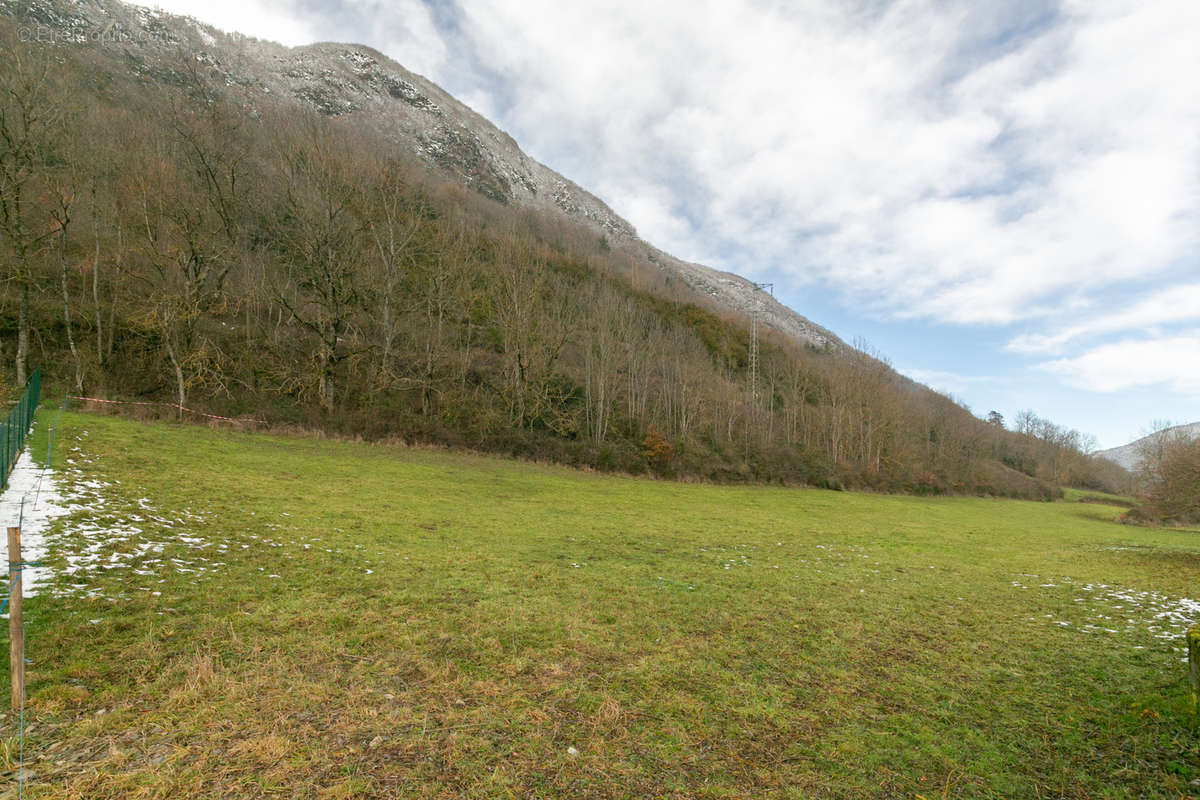 Terrain à VIELLE-AURE