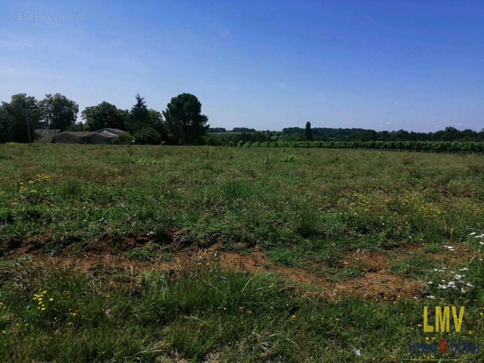 Terrain à DOULEZON