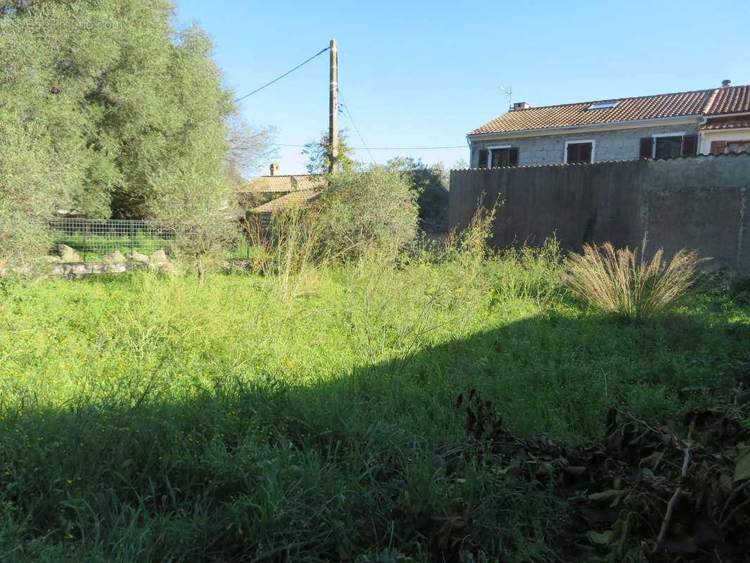 Maison à PORTO-VECCHIO