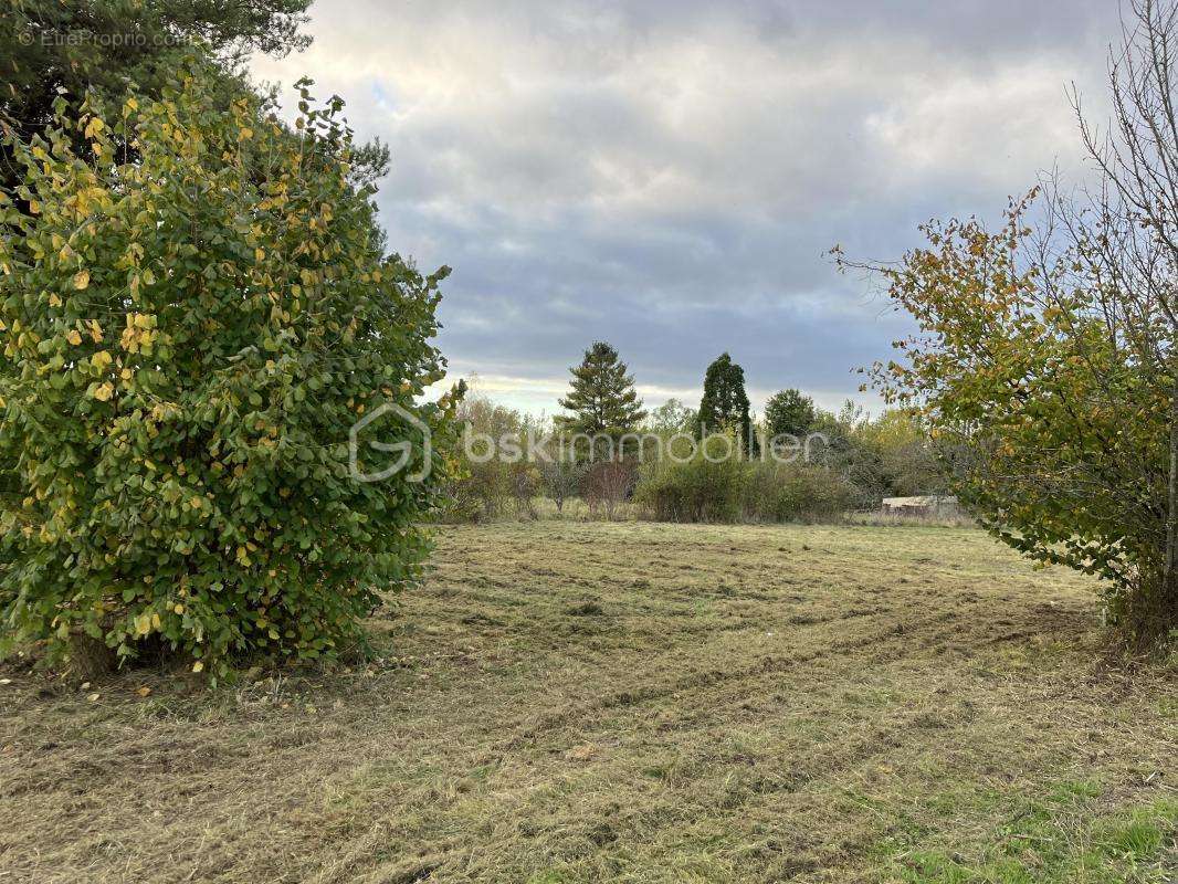 Terrain à VITRY-LE-FRANCOIS