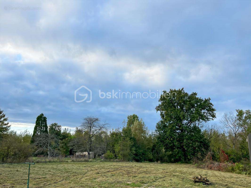 Terrain à VITRY-LE-FRANCOIS