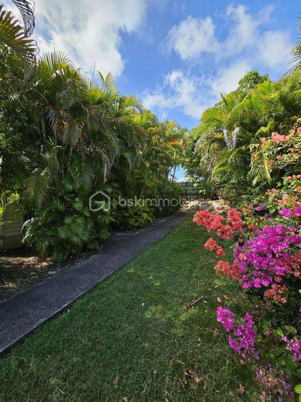 Appartement à SAINTE-ANNE