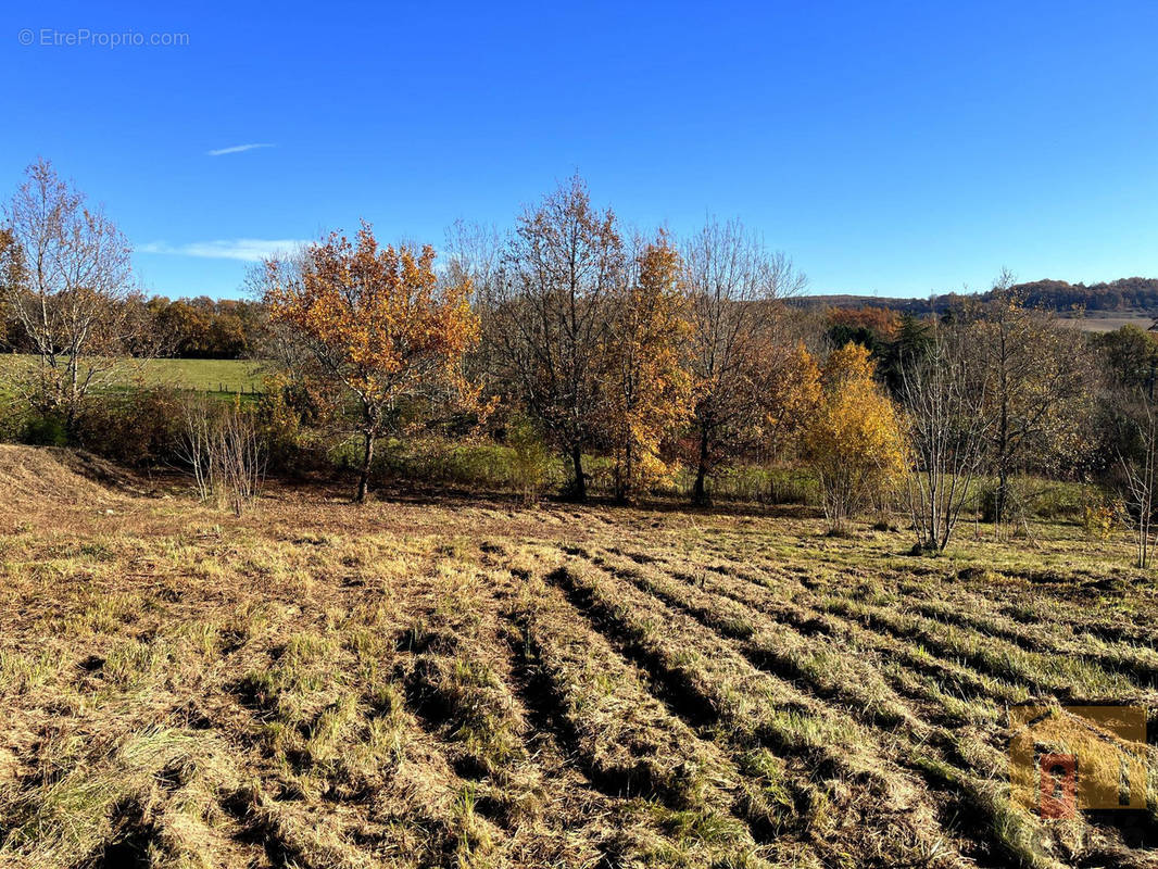 Terrain à CASTELCULIER