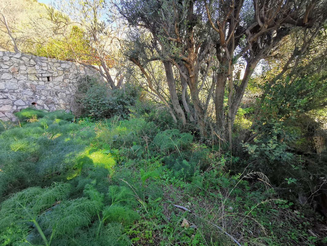 Terrain à TOULON