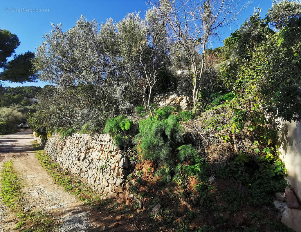 Terrain à TOULON