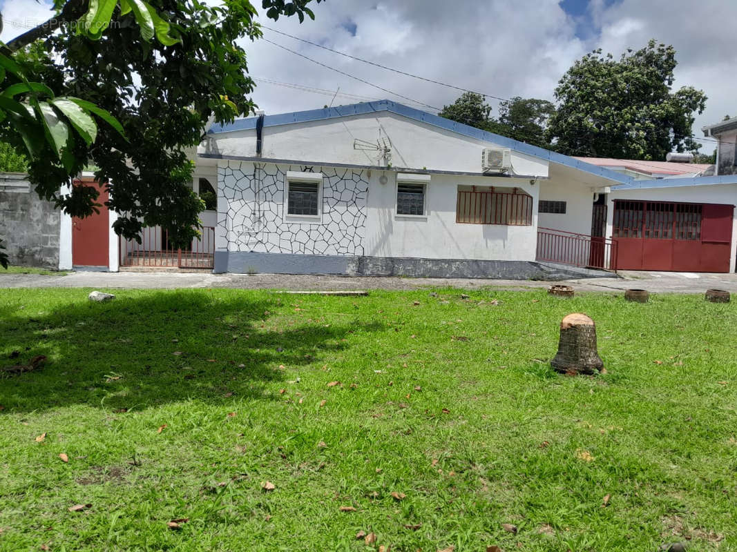 Maison à BASSE-POINTE