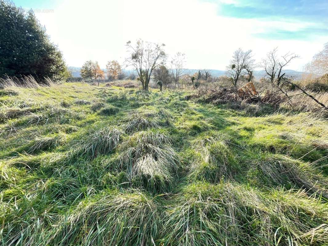 Terrain à CHARNAY-LES-MACON