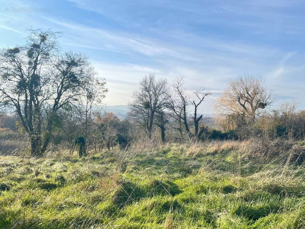 Terrain à CHARNAY-LES-MACON