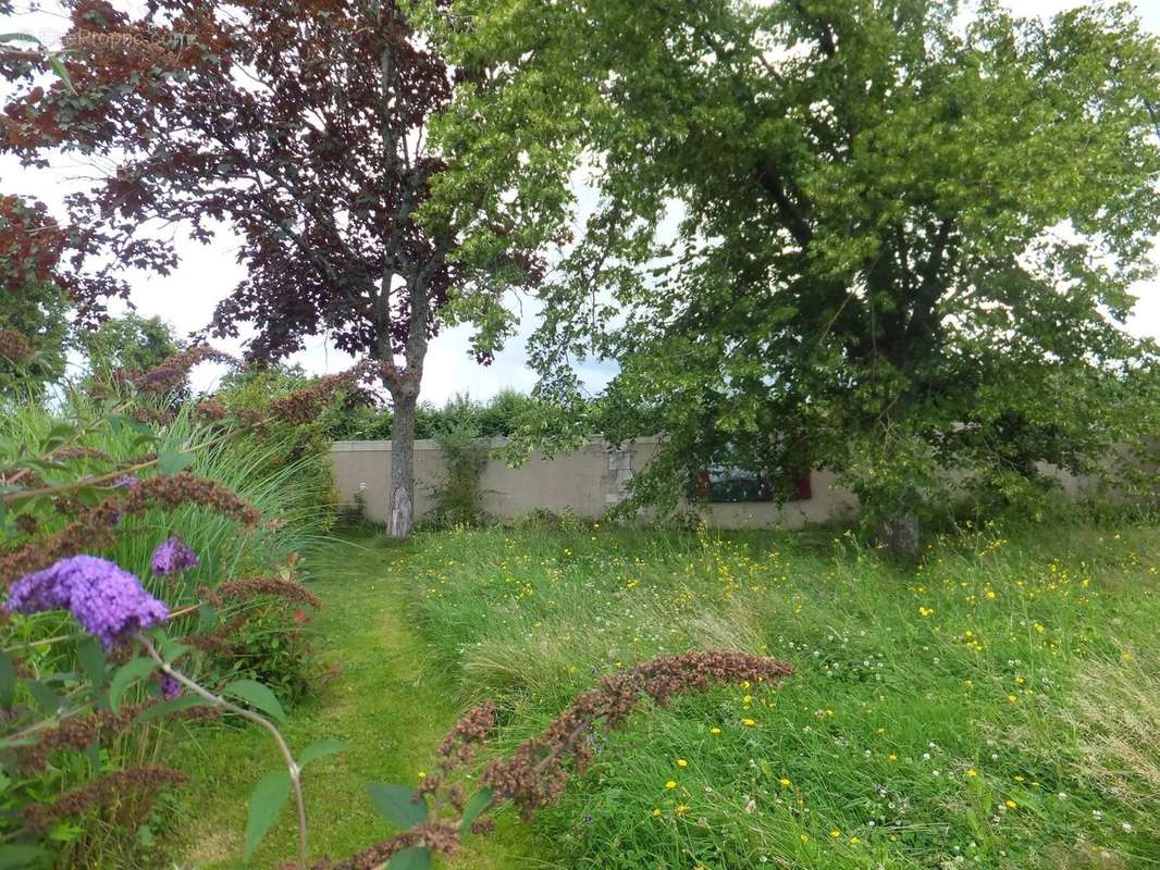 Maison à MERS-SUR-INDRE