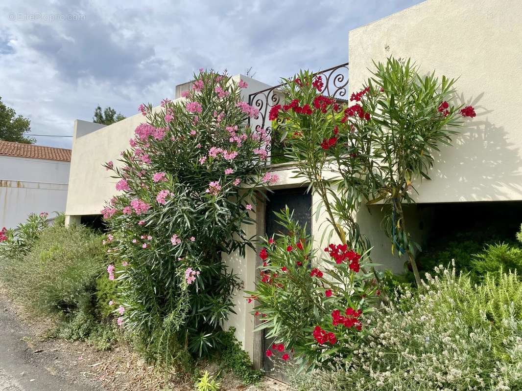 Maison à CARCASSONNE