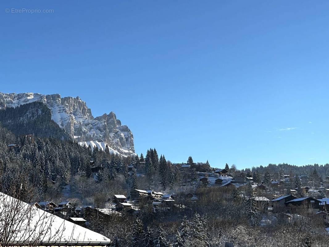 Appartement à ARACHES-LA-FRASSE