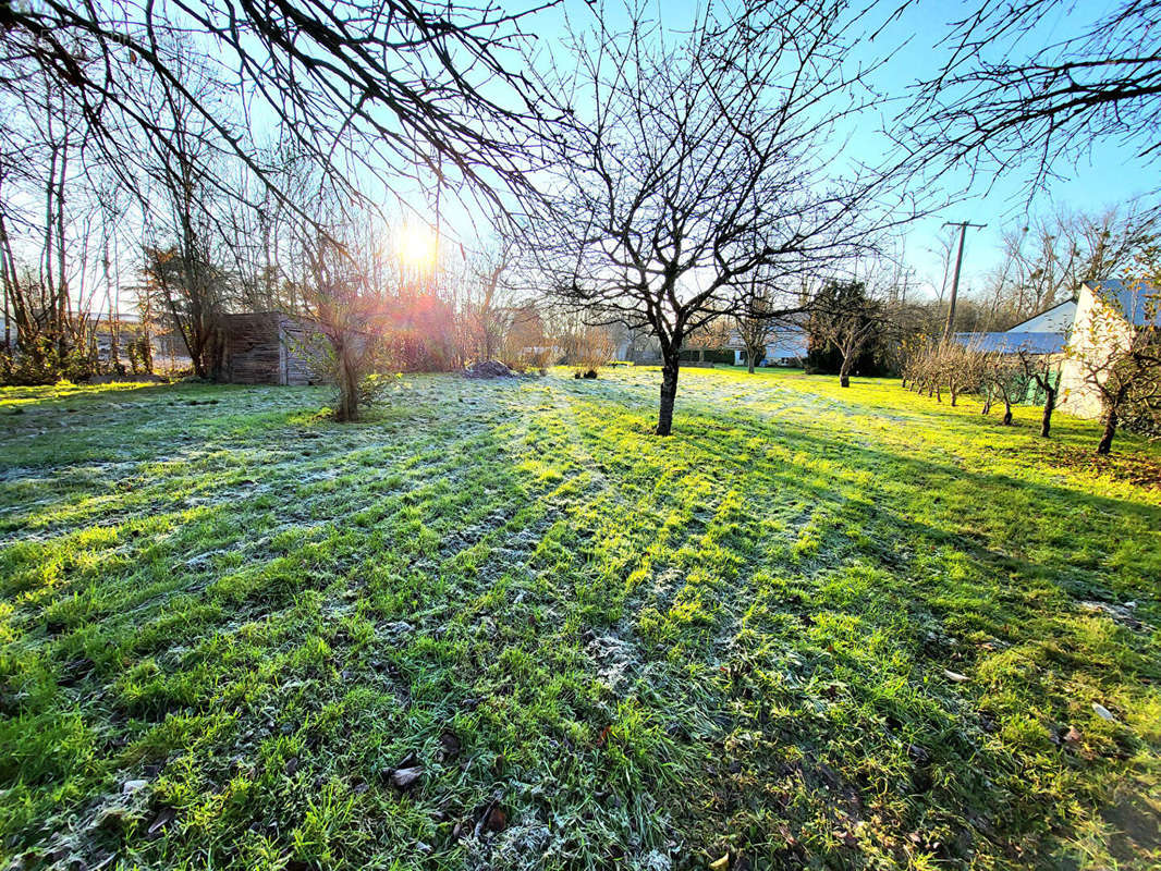 Terrain à THOUARCE