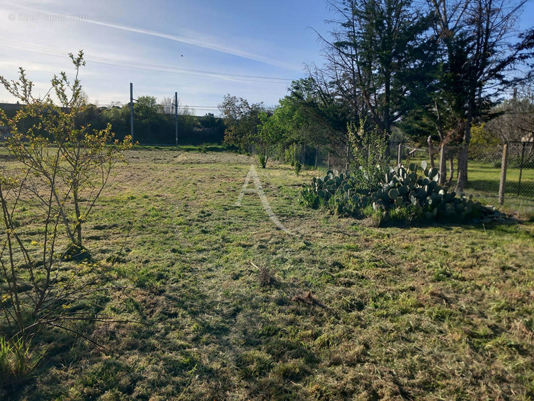 Terrain à MURET