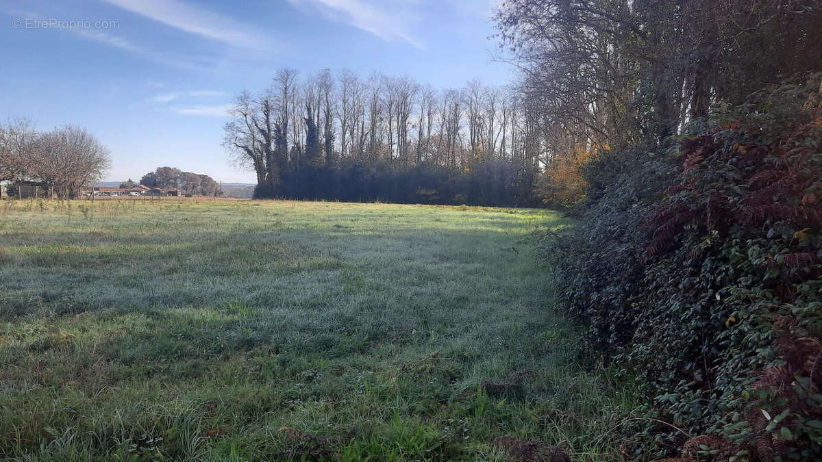 Terrain à SAINT-VINCENT-DE-TYROSSE