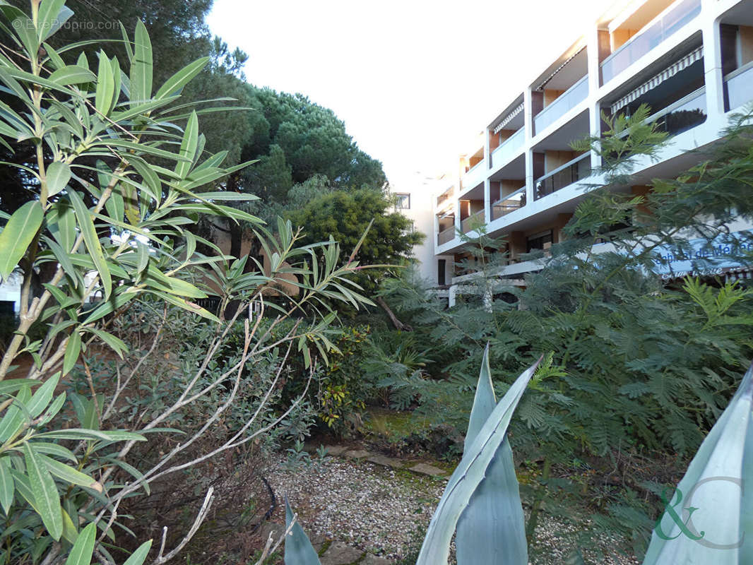 Appartement à BORMES-LES-MIMOSAS