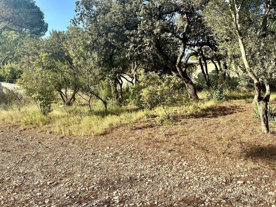 Terrain à VILLENEUVE-LES-AVIGNON