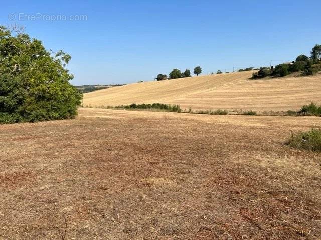 Terrain à GIMONT