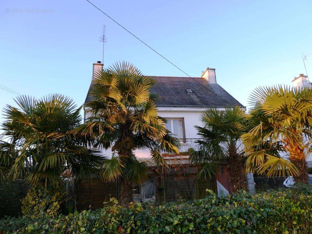 Maison à GUEMENE-SUR-SCORFF