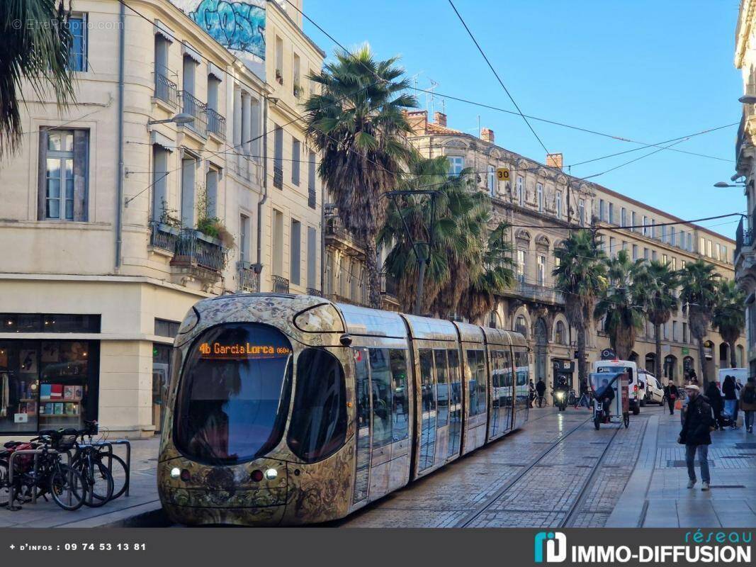 Commerce à MONTPELLIER