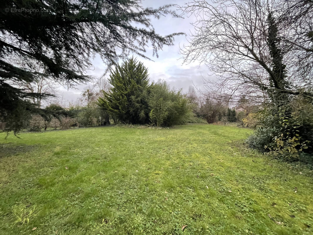 Terrain à VILLENNES-SUR-SEINE