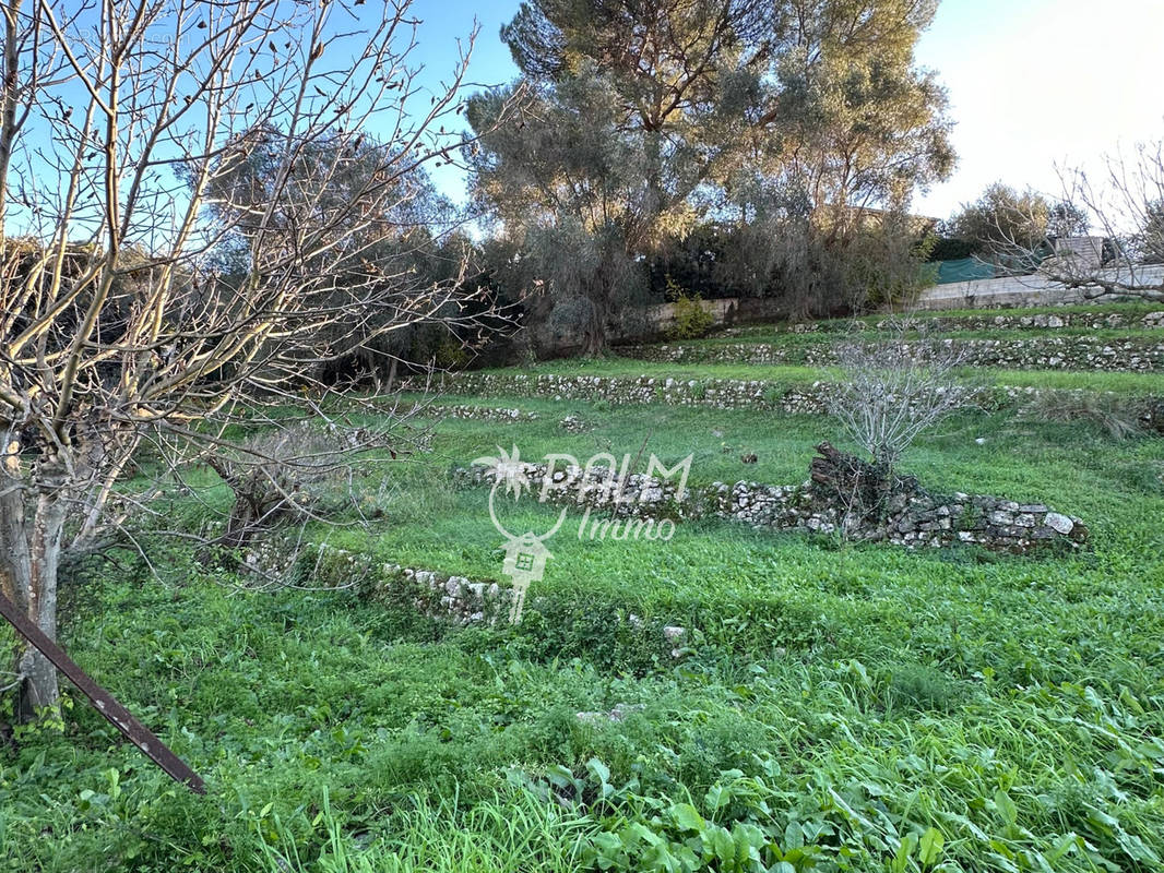 Terrain à VALLAURIS