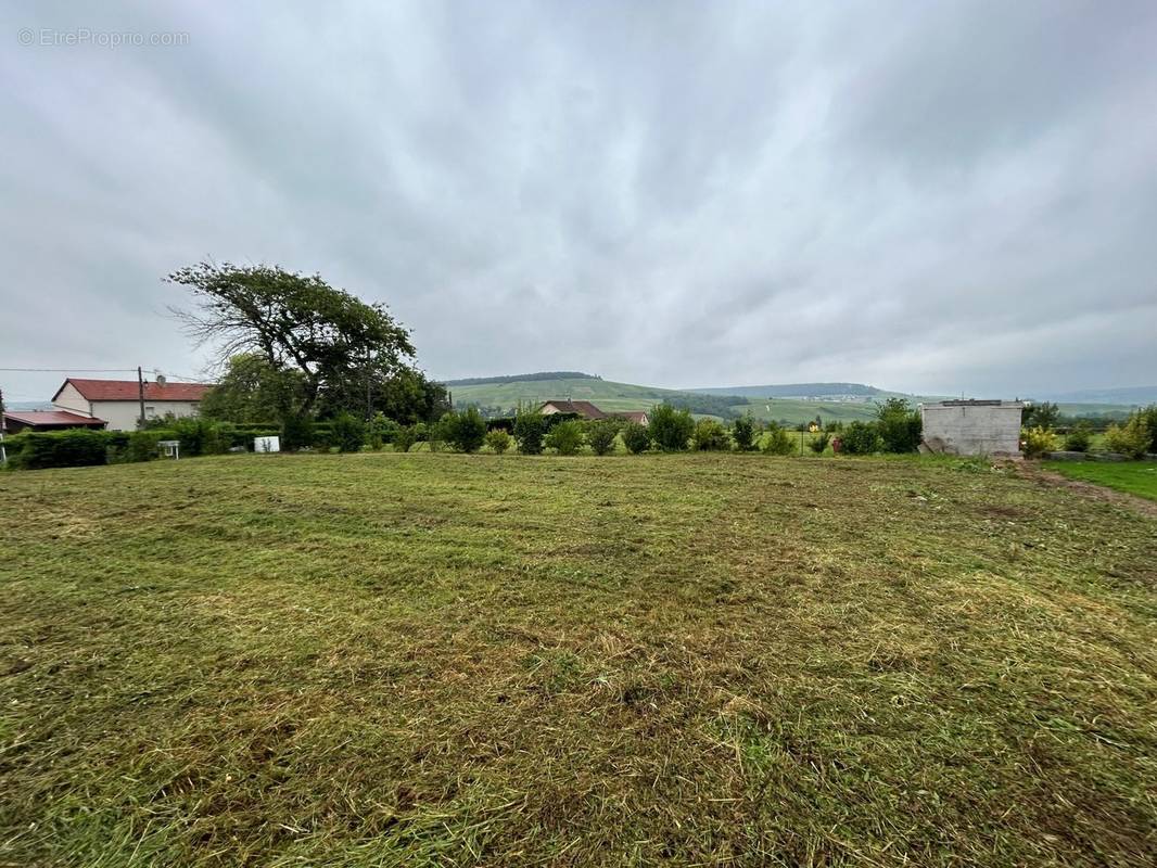 Terrain à CHATILLON-SUR-MARNE