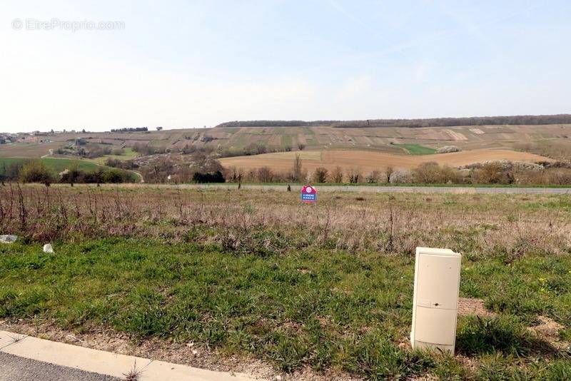 Terrain à CHATILLON-SUR-MARNE