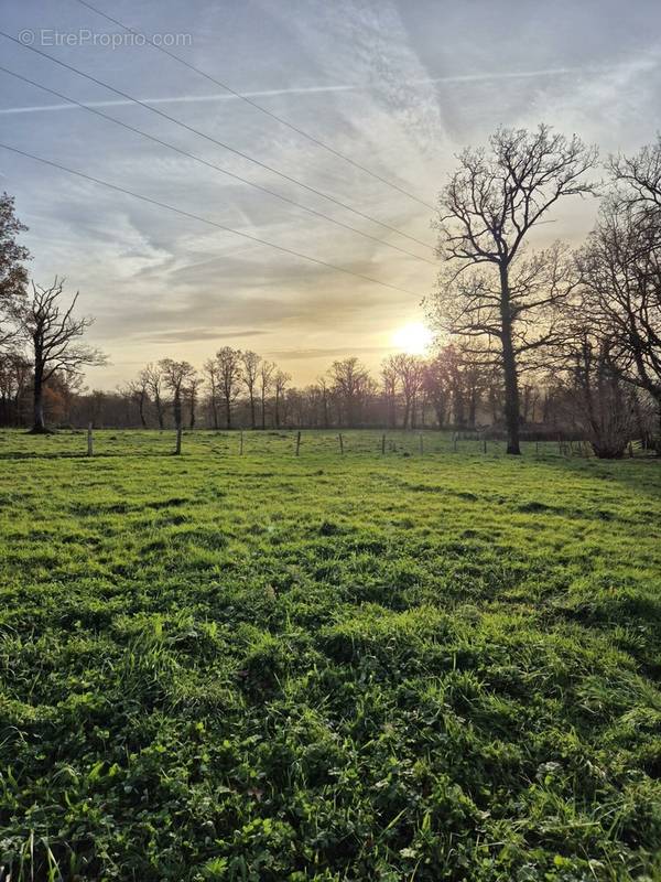 Terrain à ROMORANTIN-LANTHENAY