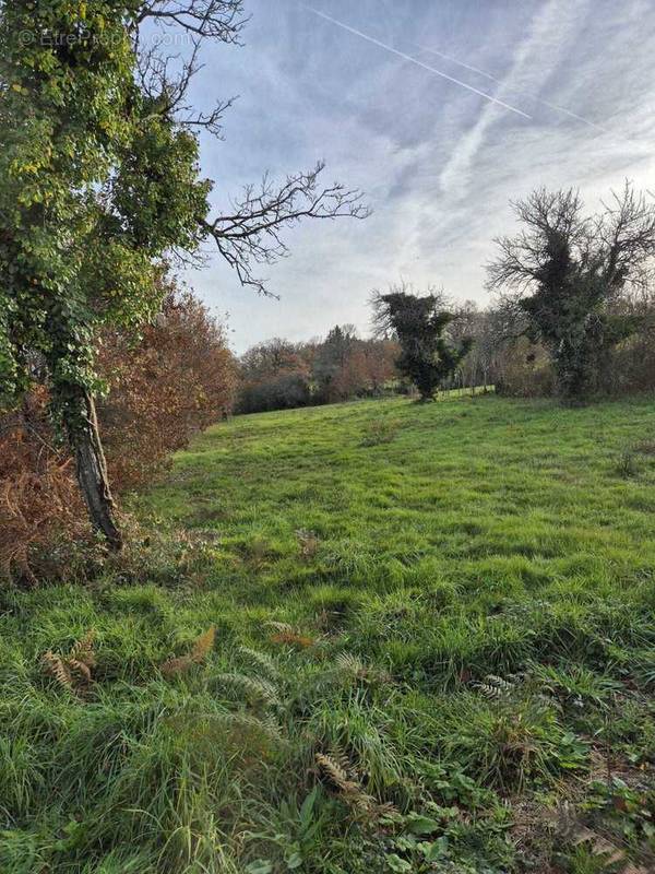 Terrain à HUISSEAU-SUR-COSSON