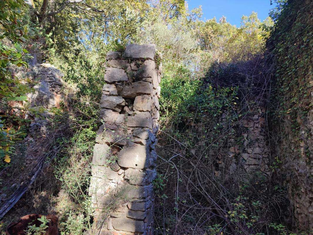 Terrain à SAINT-CEZAIRE-SUR-SIAGNE