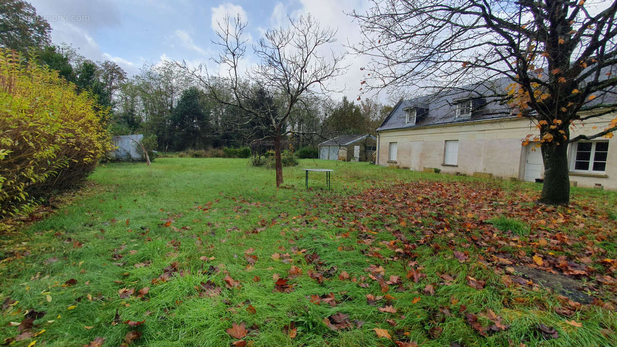 Maison à LA CHAPELLE-SUR-LOIRE