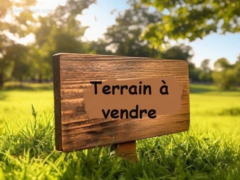 Terrain à LA MOTHE-ACHARD