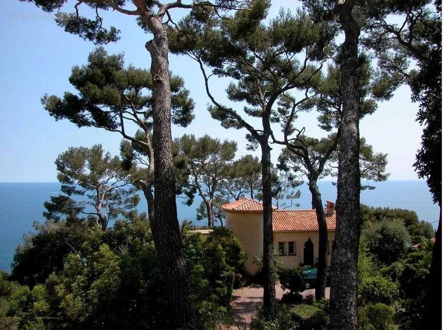 Appartement à EZE