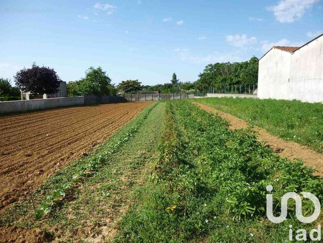 Photo 3 - Terrain à SAINT-MICHEL-LE-CLOUCQ