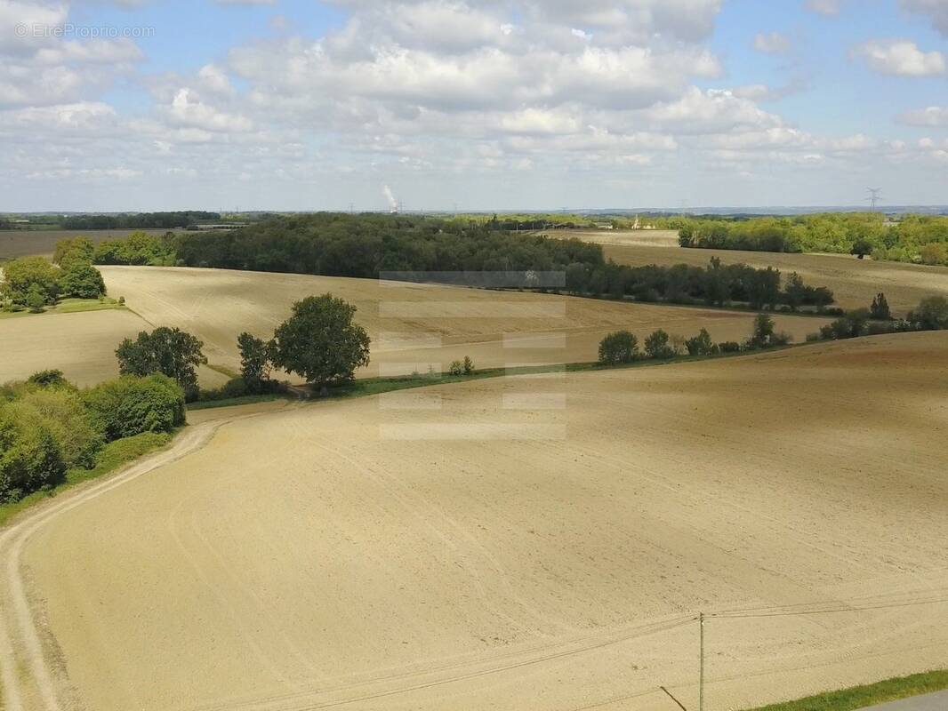 Terrain à BEAUMONT-DE-LOMAGNE