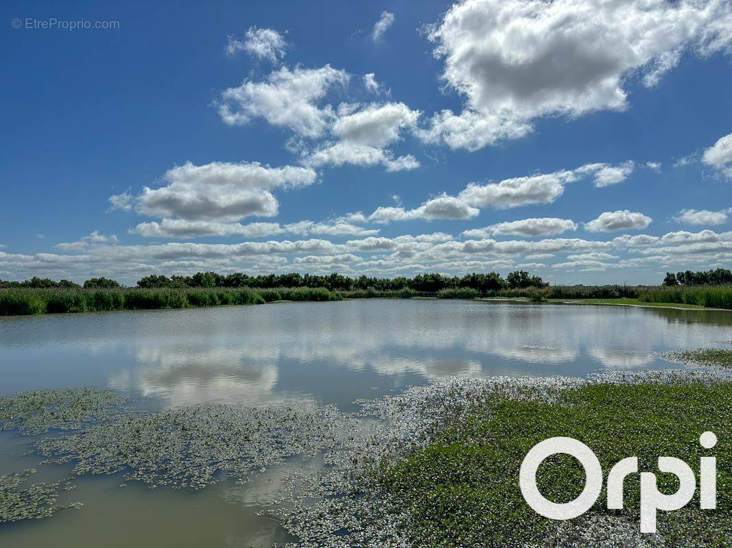 Terrain à SAINT-LAURENT-DE-LA-PREE