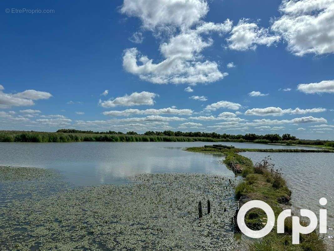 Terrain à SAINT-LAURENT-DE-LA-PREE