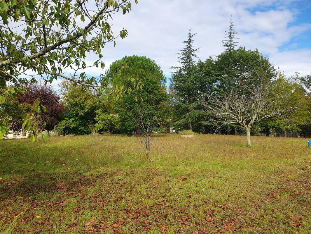 Terrain à SAINT-CIERS-D&#039;ABZAC