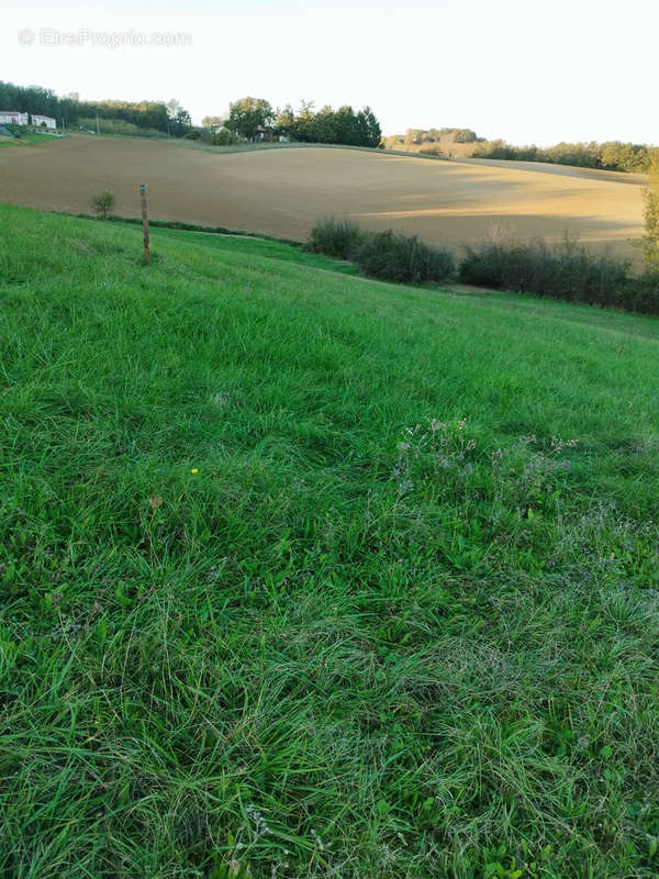 Terrain à CAUSSADE